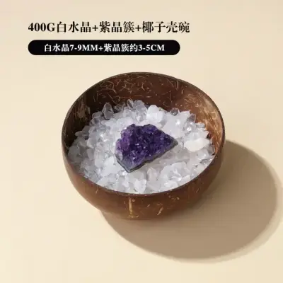 Mangkuk Penyucian Kulit Kelapa 16