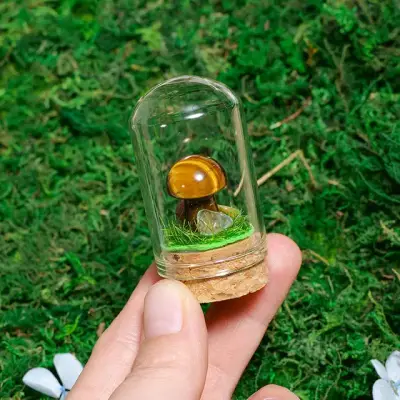 Mushroom Wish Bottle 2