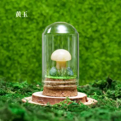Mushroom Wish Bottle 11