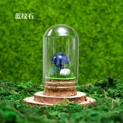 Mushroom Wish Bottle 12