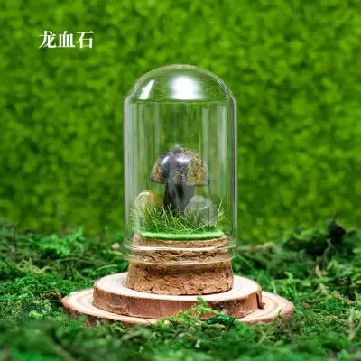 Mushroom Wish Bottle 13