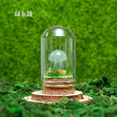 Mushroom Wish Bottle 14