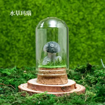 Mushroom Wish Bottle 15