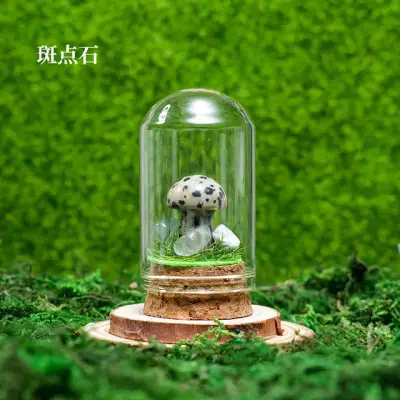 Mushroom Wish Bottle 6