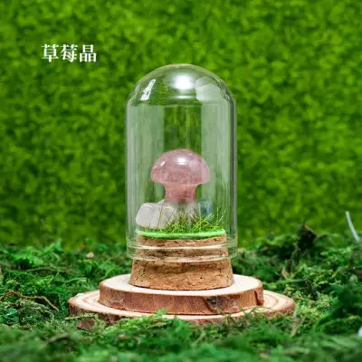 Mushroom Wish Bottle 7