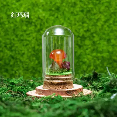 Mushroom Wish Bottle 8