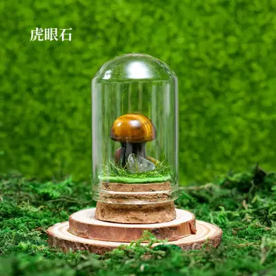 Mushroom Wish Bottle 10