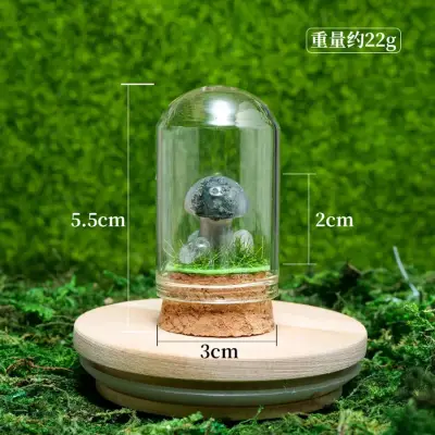 天然水晶原石蘑菇微景观