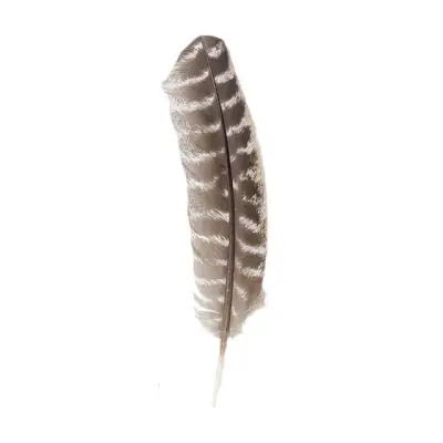 Set White Sage & Palo Santo 9